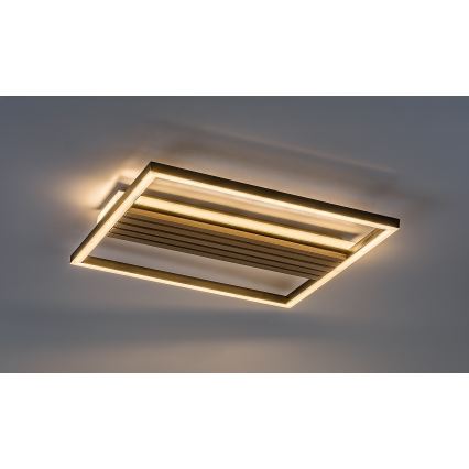 Rabalux - LED stropné svietidlo LED/30W/230V 3000/4500/6000K