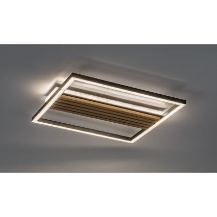 Rabalux - LED stropné svietidlo LED/30W/230V 3000/4500/6000K
