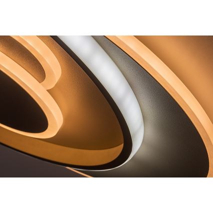 Rabalux - LED stmievateľné stropné svietidlo LED/57W/230V 3000-6000K 48,5x40 cm + diaľkové ovládanie