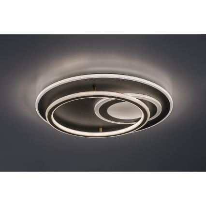 Rabalux - LED stmievateľné stropné svietidlo LED/60W/230V 3000-6000K priemer 50 cm + diaľkové ovládanie