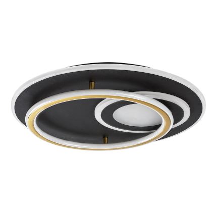 Rabalux - LED stmievateľné stropné svietidlo LED/60W/230V 3000-6000K priemer 50 cm + diaľkové ovládanie