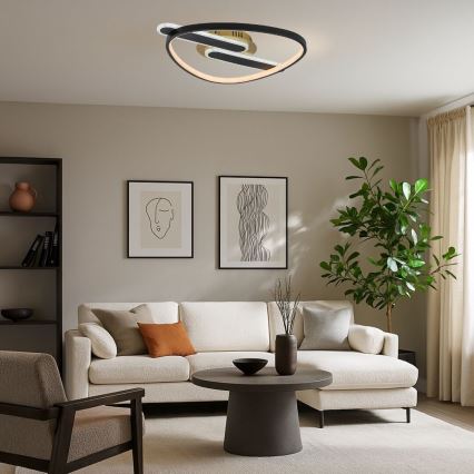 Rabalux - LED stmievateľné stropné svietidlo LED/60W/230V 3000-6000K 53x45 cm + diaľkové ovládanie