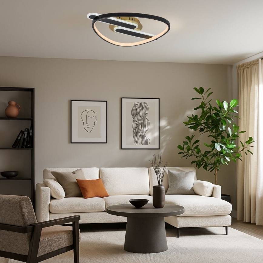 Rabalux - LED stmievateľné stropné svietidlo LED/60W/230V 3000-6000K 53x45 cm + diaľkové ovládanie