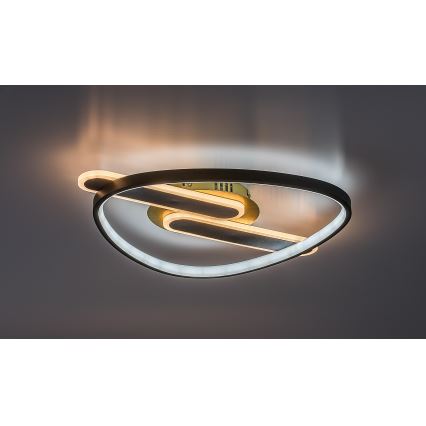 Rabalux - LED stmievateľné stropné svietidlo LED/60W/230V 3000-6000K 53x45 cm + diaľkové ovládanie