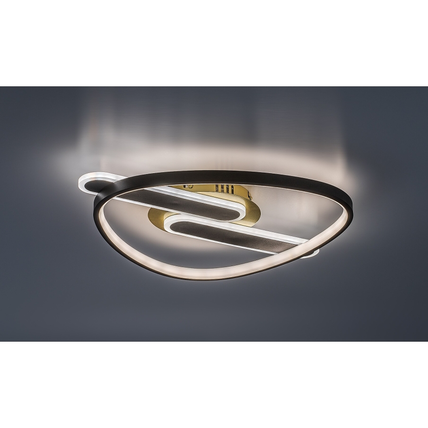 Rabalux - LED stmievateľné stropné svietidlo LED/60W/230V 3000-6000K 53x45 cm + diaľkové ovládanie