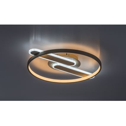 Rabalux - LED stmievateľné stropné svietidlo LED/55W/230V 3000-6000K 53x45 cm + diaľkové ovládanie