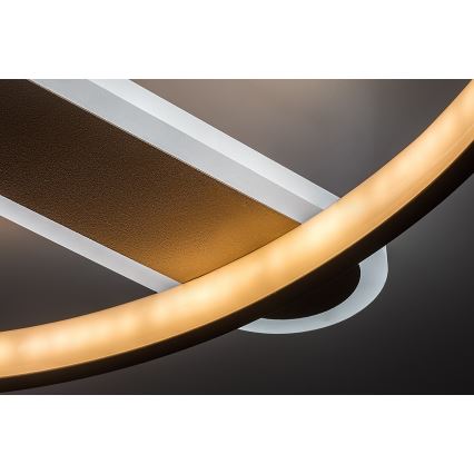 Rabalux - LED stmievateľné stropné svietidlo LED/55W/230V 3000-6000K 53x45 cm + diaľkové ovládanie