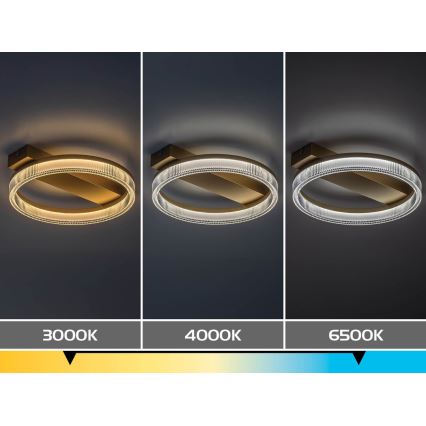 Rabalux - LED Stmievateľné stropné svietidlo LED/18W/230V 3000-6500K 37x33 cm + diaľkové ovládanie