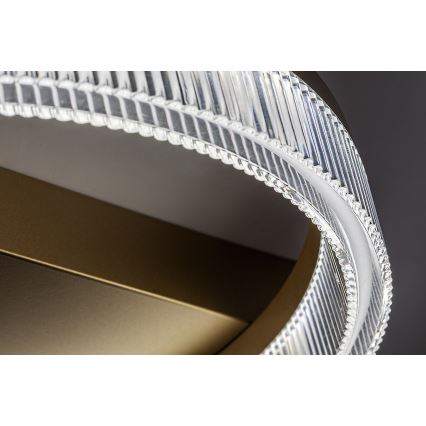 Rabalux - LED Stmievateľné stropné svietidlo LED/18W/230V 3000-6500K 37x33 cm + diaľkové ovládanie