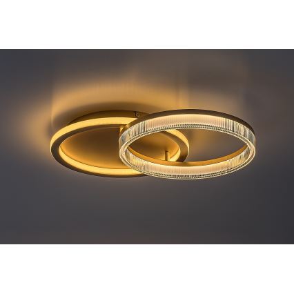 Rabalux - LED stmievateľné stropné svietidlo LED/22W/230V 3000-6500K 53,5x35 cm + diaľkové ovládanie