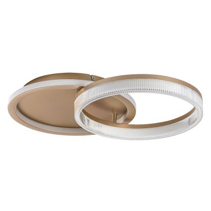 Rabalux - LED stmievateľné stropné svietidlo LED/22W/230V 3000-6500K 53,5x35 cm + diaľkové ovládanie