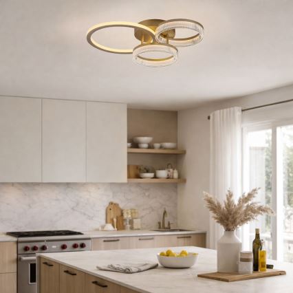 Rabalux - Stmievateľné LED stropné svietidlo 38 W / 230 V, 3000–6500 K, 58,5 × 38 cm + diaľkové ovládanie