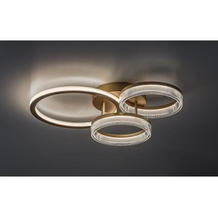 Rabalux - Stmievateľné LED stropné svietidlo 38 W / 230 V, 3000–6500 K, 58,5 × 38 cm + diaľkové ovládanie