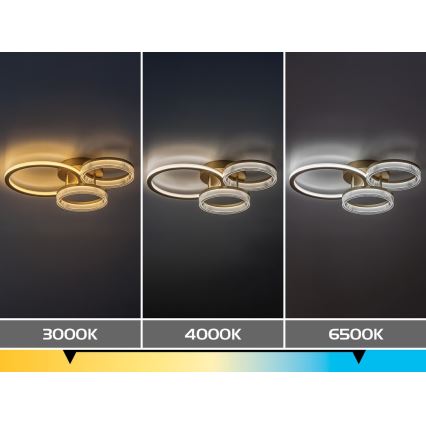 Rabalux - Stmievateľné LED stropné svietidlo 38 W / 230 V, 3000–6500 K, 58,5 × 38 cm + diaľkové ovládanie