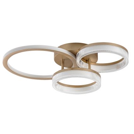 Rabalux - Stmievateľné LED stropné svietidlo 38 W / 230 V, 3000–6500 K, 58,5 × 38 cm + diaľkové ovládanie