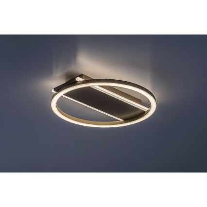 Rabalux - LED stropné svietidlo LED/24W/230V pr. 33 cm
