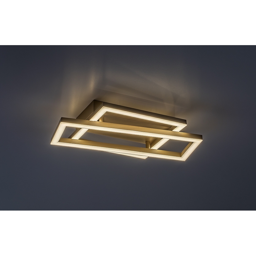 Rabalux - LED stropné svietidlo LED/24W/230V 37x22,5 cm