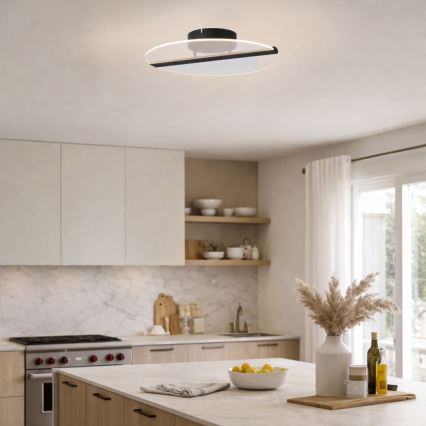 Rabalux - LED stropné svietidlo LED/20W/230V 3000 pr. 41 cm čierne/priehľadné