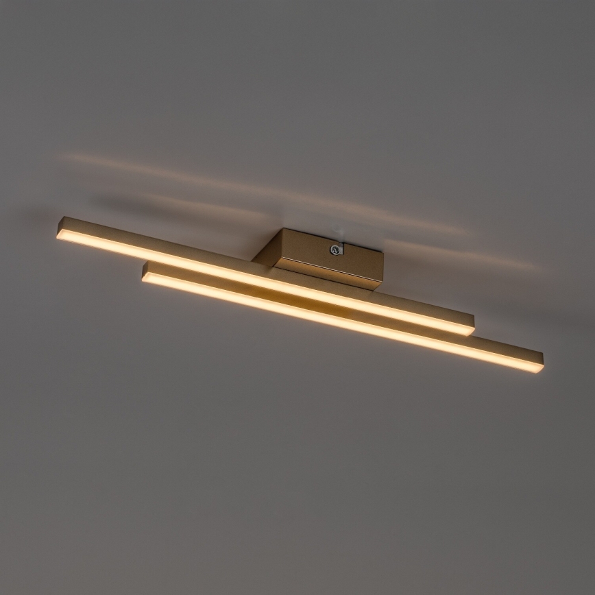 Rabalux - LED Stropné svietidlo LED/12W/230V 3000K zlaté