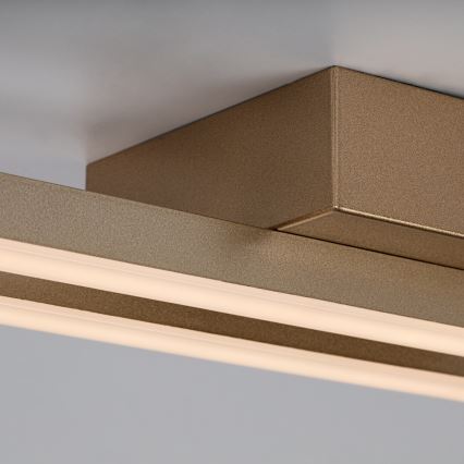 Rabalux - LED Stropné svietidlo LED/12W/230V 3000K zlaté