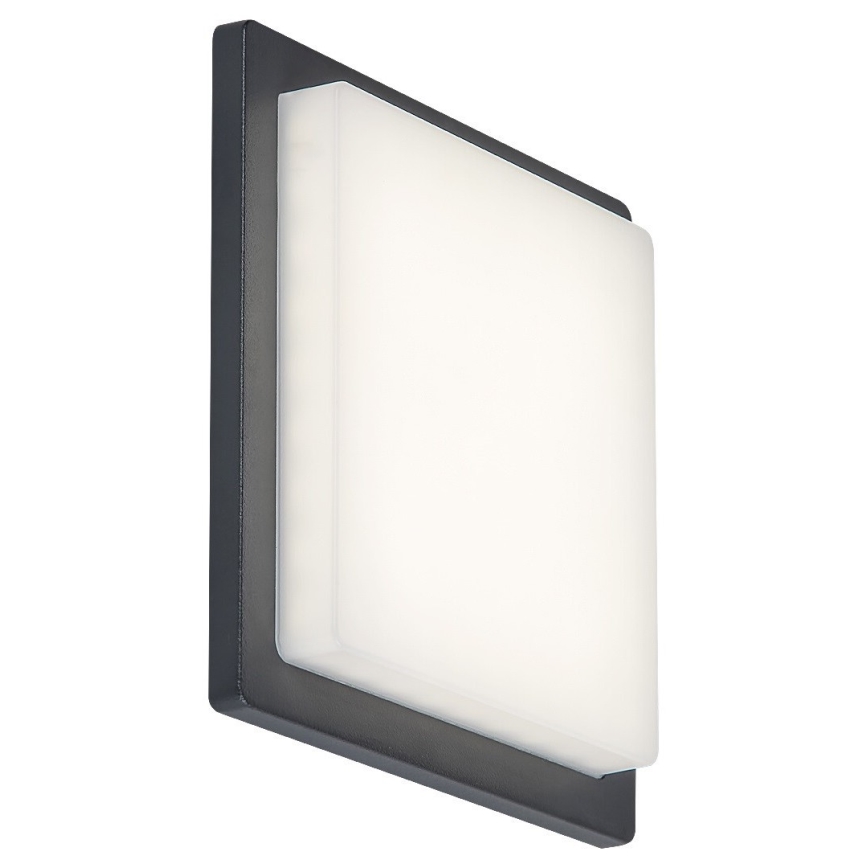 Rabalux - LED Vonkajšie nástenné svietidlo LED/8W/230V IP65