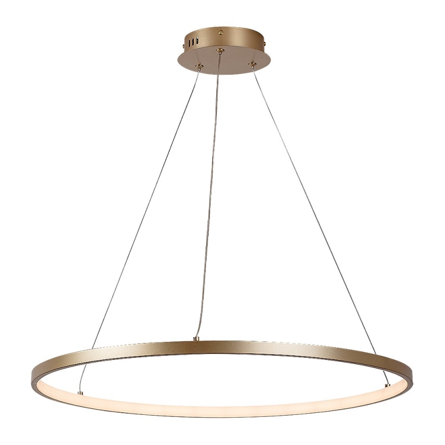 Rabalux - LED luster na lankách LED/55W/230V 3000K