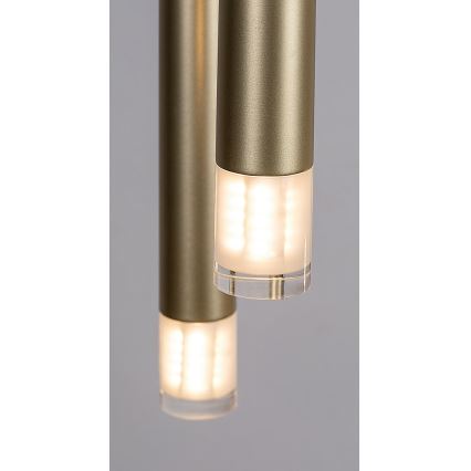 Rabalux - Luster na lanku 5xG9/5W/230V zlatá