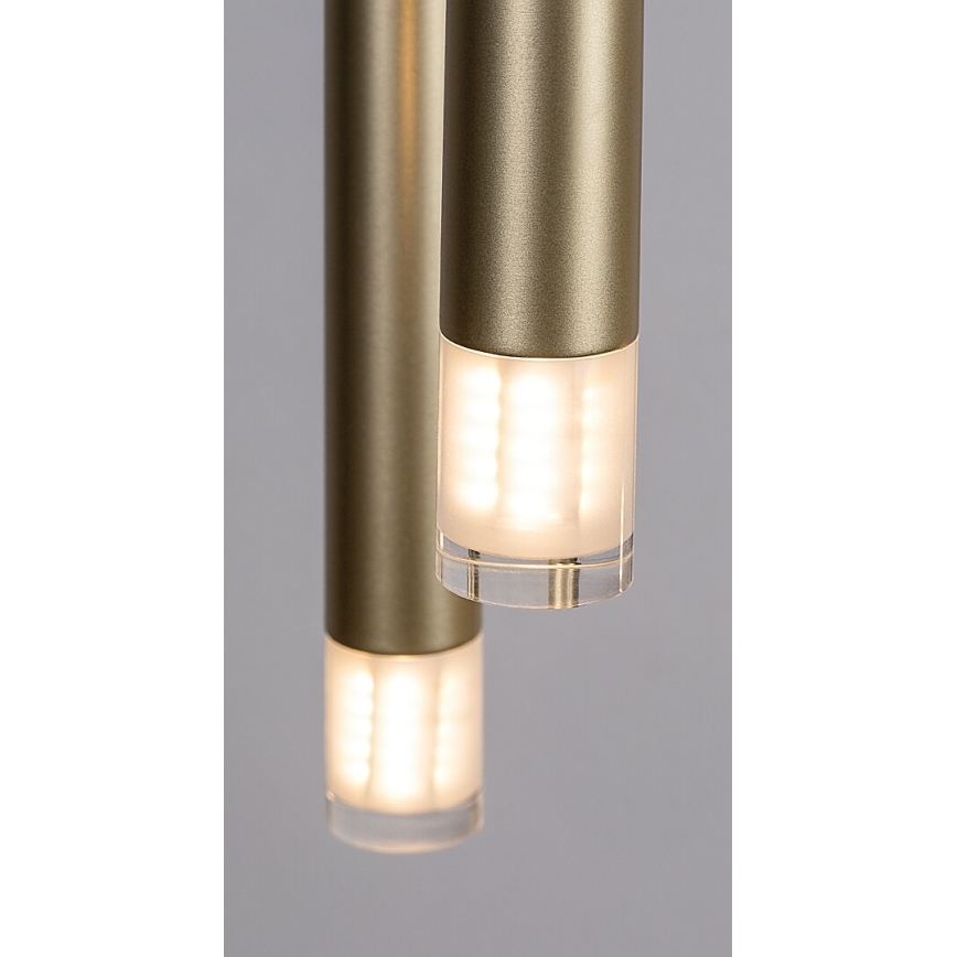 Rabalux - Luster na lanku 5xG9/5W/230V zlatá