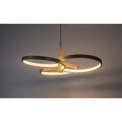 Rabalux - LED Stmievateľný luster na lanku LED/50W/230V 3000-6500K + diaľkové ovládanie