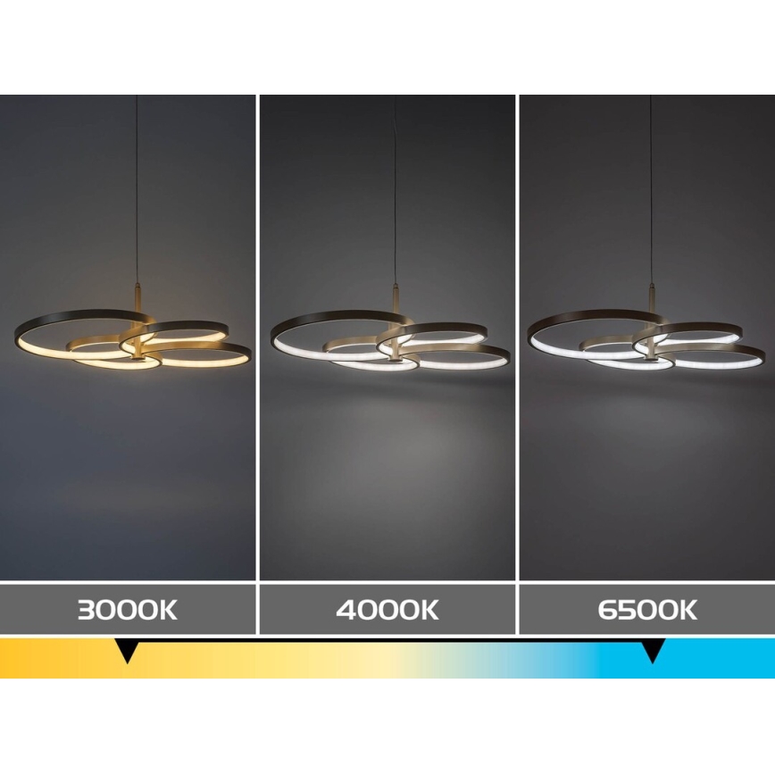 Rabalux - LED stmievateľný luster na lane LED/70W/230V 3000-6500K + diaľkové ovládanie