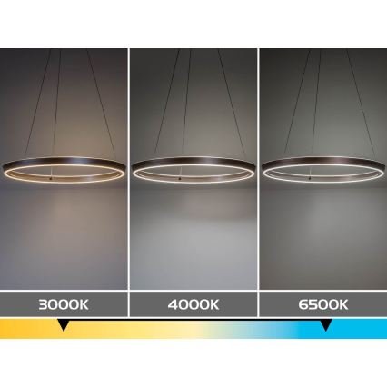 Rabalux - LED Stmievateľný luster na lanku LED/70W/230V 3000-6500K + diaľkové ovládanie