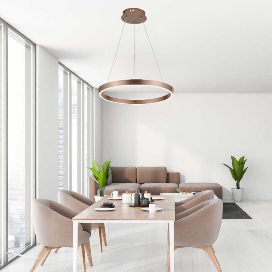 Rabalux - LED stmievateľný luster na lane LED/36W/230V 3000-6500K + diaľkové ovládanie