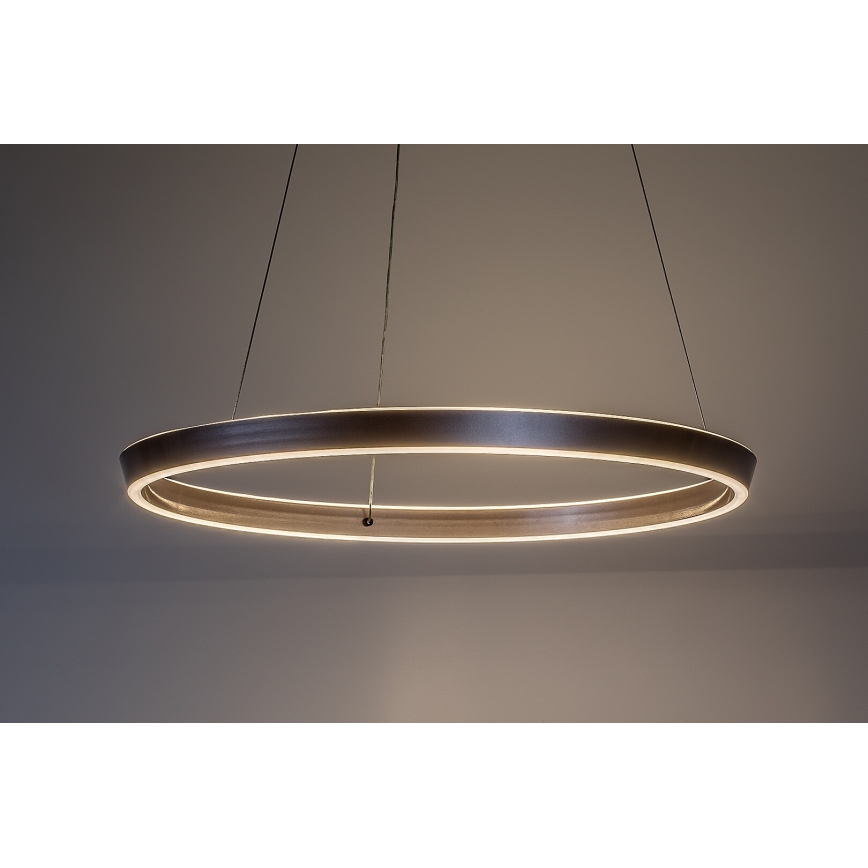 Rabalux - LED stmievateľný luster na lane LED/36W/230V 3000-6500K + diaľkové ovládanie