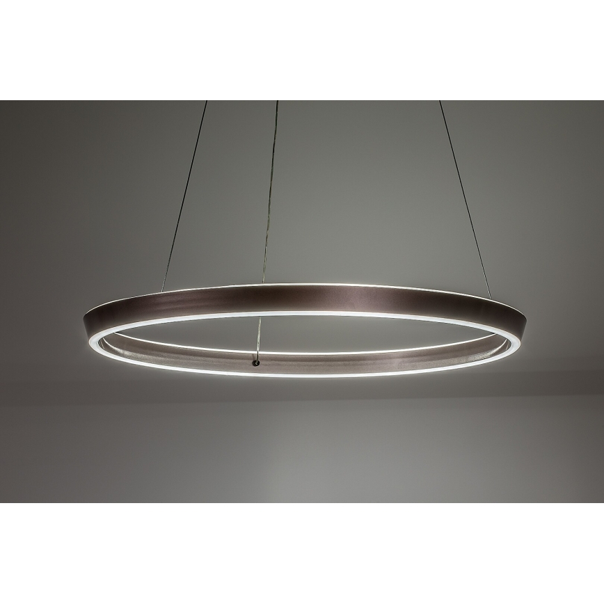 Rabalux - LED stmievateľný luster na lane LED/36W/230V 3000-6500K + diaľkové ovládanie