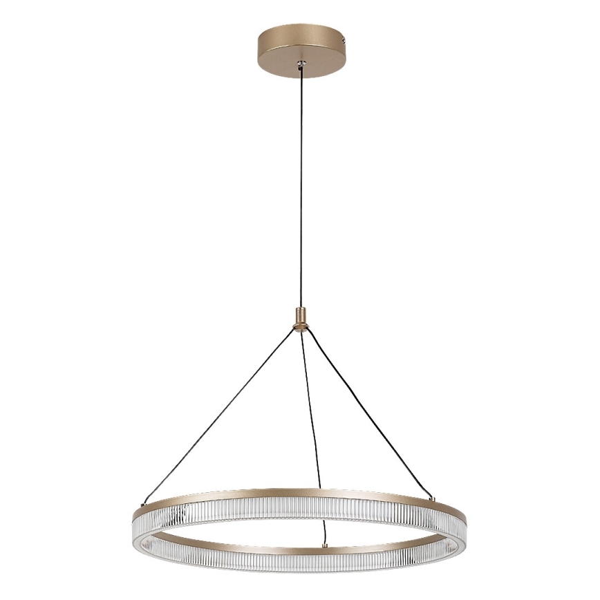 Rabalux - LED stmievateľný luster na lanku LED/24W/230V 3000-6500K + diaľkové ovládanie
