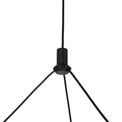 Rabalux - LED stmievateľný luster na lane LED/24W/230V 3000-6500K + diaľkové ovládanie