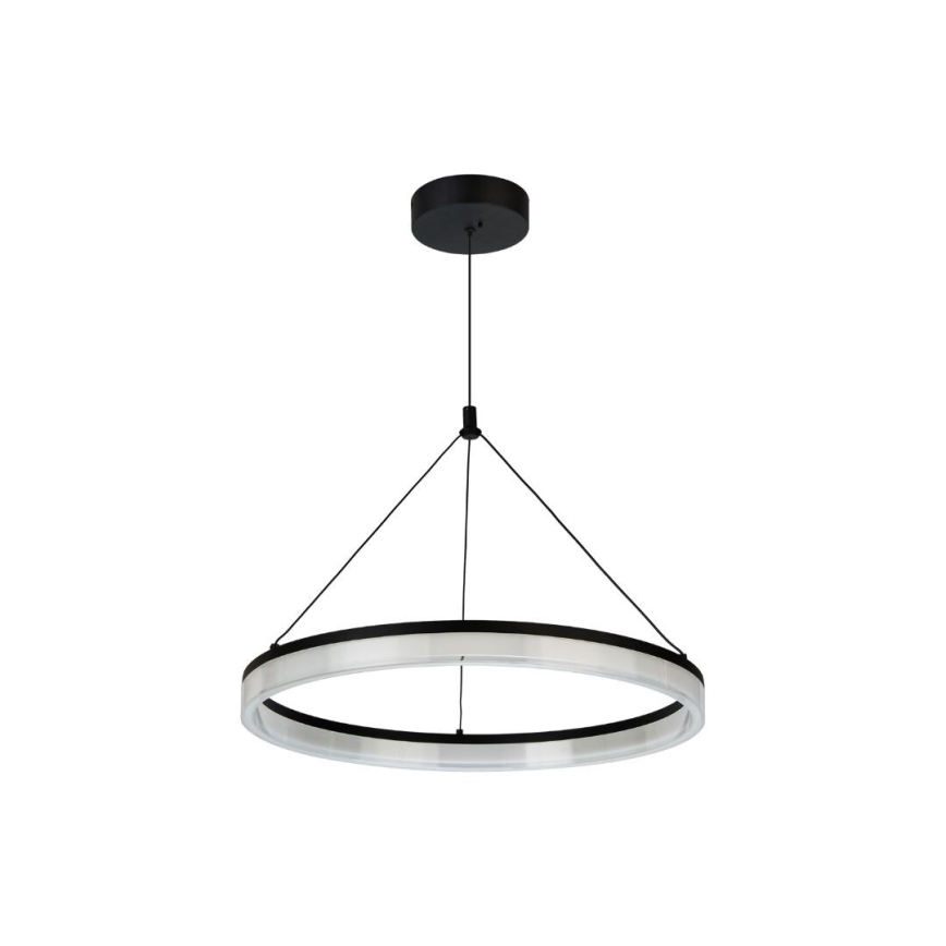 Rabalux - LED stmievateľný luster na lane LED/24W/230V 3000-6500K + diaľkové ovládanie