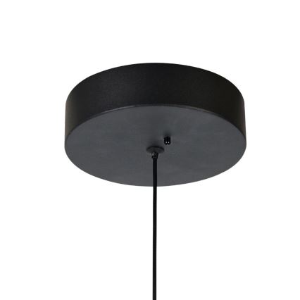 Rabalux - LED stmievateľný luster na lane LED/24W/230V 3000-6500K + diaľkové ovládanie