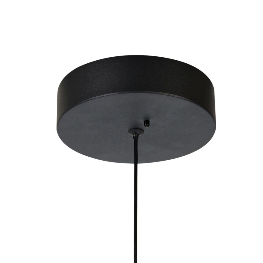Rabalux - LED stmievateľný luster na lane LED/24W/230V 3000-6500K + diaľkové ovládanie