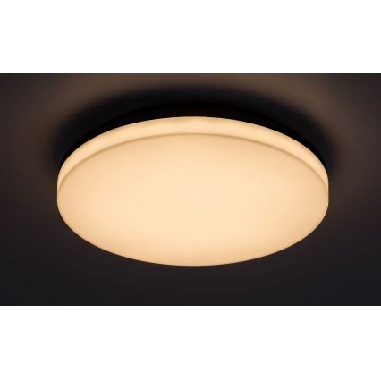 Rabalux - LED Kúpeľňové stropné svietidlo LED/24W/230V IP54
