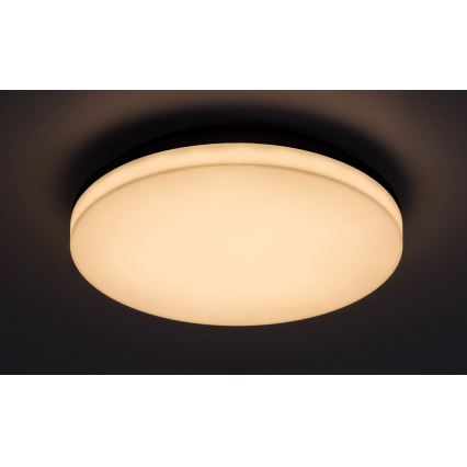 Rabalux - LED Kúpeľňové stropné svietidlo LED/24W/230V IP54