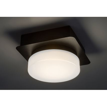 Rabalux - LED Stropné kúpeľňové svietidlo LED/5W/230V IP44 4000K čierna