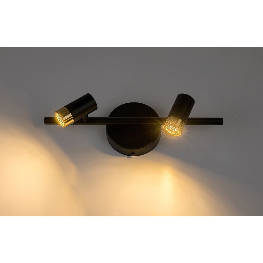 Rabalux - LED Nástenné bodové svietidlo 2xLED/3W/230V 4000K