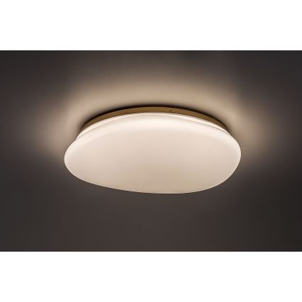 Rabalux - LED kúpeľňové stropné svietidlo LED/24W/230V IP44 pr. 41 cm