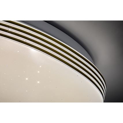 Rabalux - LED Kúpeľňové stropné svietidlo LED/18W/230V IP44 pr. 34 cm