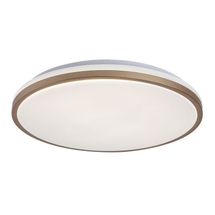 Rabalux - LED kúpeľňové stropné svietidlo LED/18W/230V IP44 pr. 34 cm