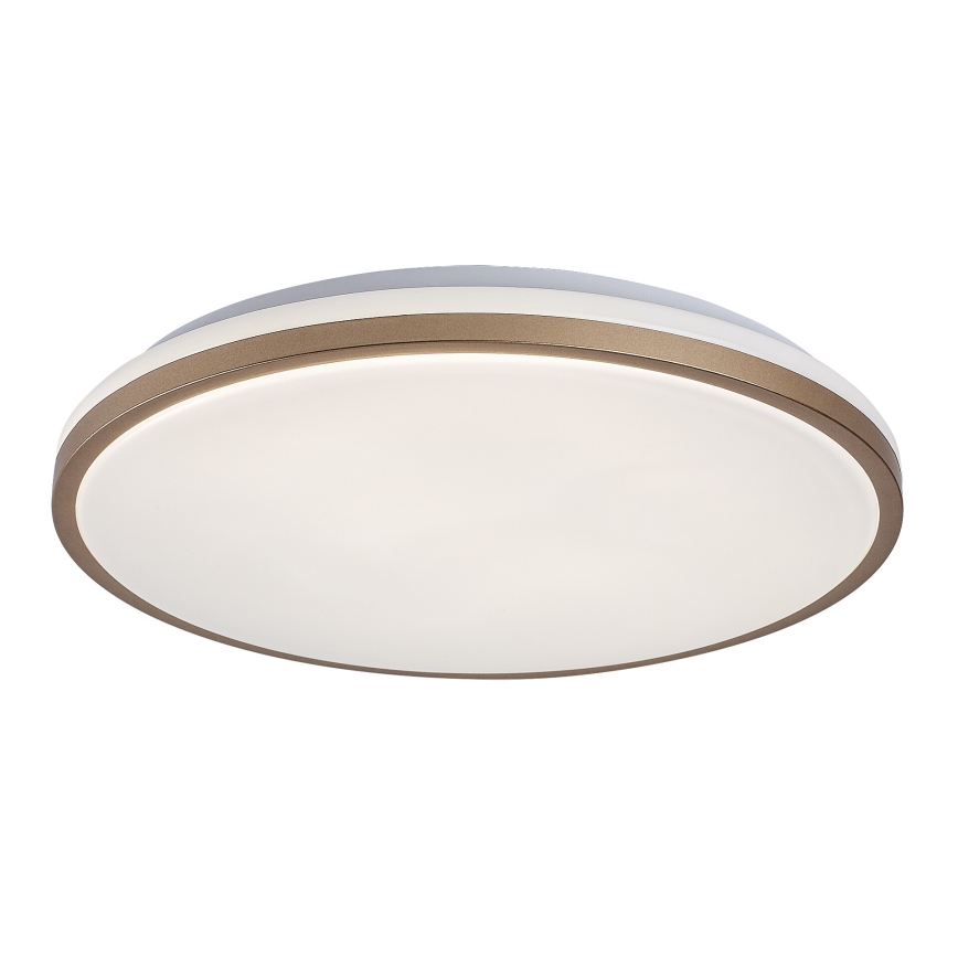 Rabalux - LED kúpeľňové stropné svietidlo LED/18W/230V IP44 pr. 34 cm