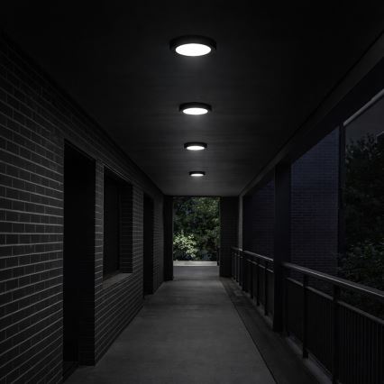 Rabalux - LED kúpeľňové stropné svietidlo LED/24W/230V pr. 22 cm IP44 čierna