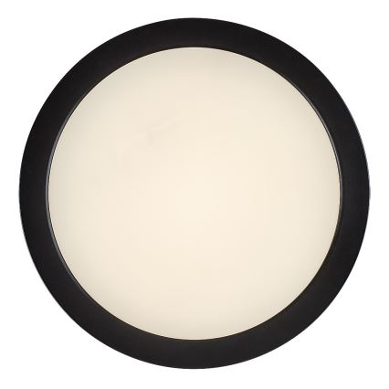 Rabalux - LED kúpeľňové stropné svietidlo LED/24W/230V pr. 22 cm IP44 čierna