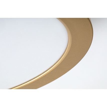 Rabalux - LED stropné svietidlo do kúpeľne LED/24W/230V, Ø 22 cm, IP44, zlaté